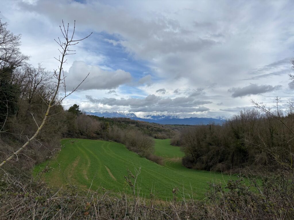 Sant-Andreu-Paolomar