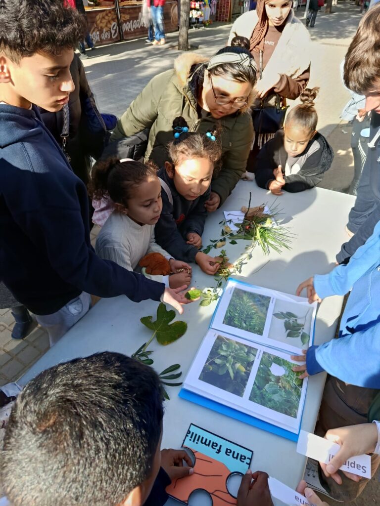 Sant-Andreu-Paolomar